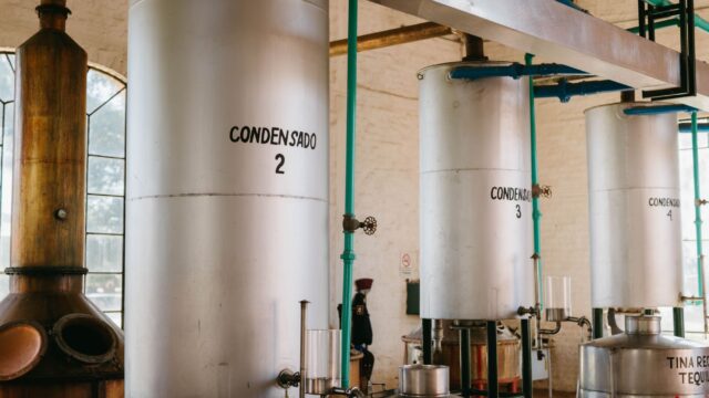 AI distillation-aanvallen uitgelegd